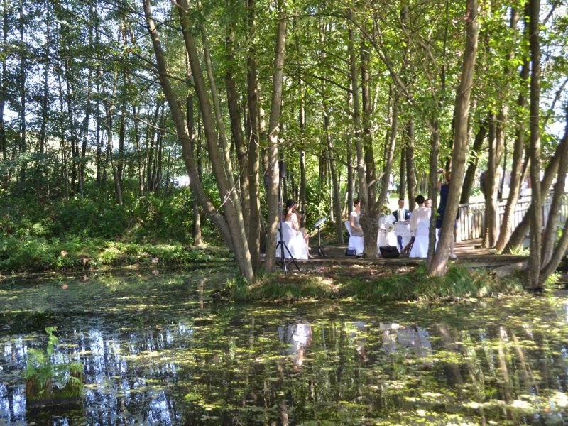 Vedahof – Hochzeitslocation im Mühlviertel der besonderen Art Vedahof – Hochzeitslocation im Mühlviertel der besonderen Art